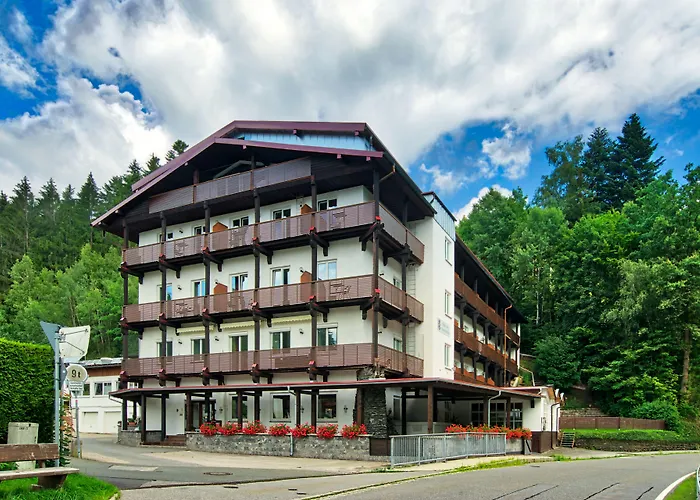 Natur- und Wanderhotel am Steinbachtal Bad Kötzting